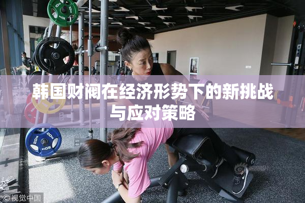 韩国财阀在经济形势下的新挑战与应对策略