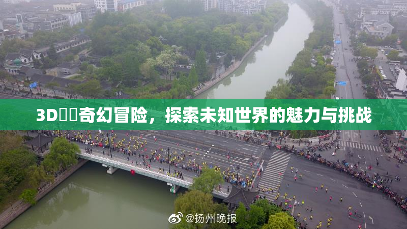 3D姉弚奇幻冒险，探索未知世界的魅力与挑战