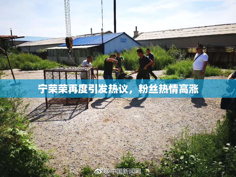 宁荣荣再度引发热议，粉丝热情高涨