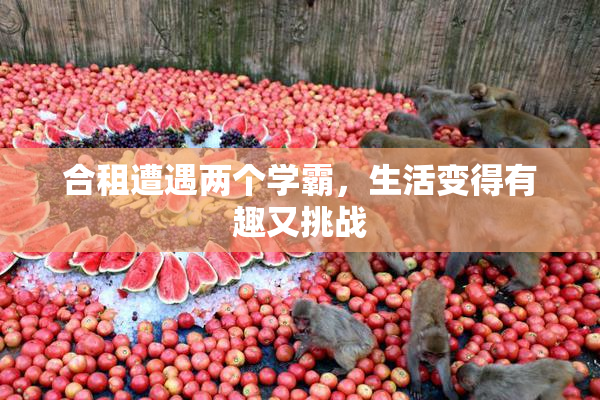 合租遭遇两个学霸，生活变得有趣又挑战