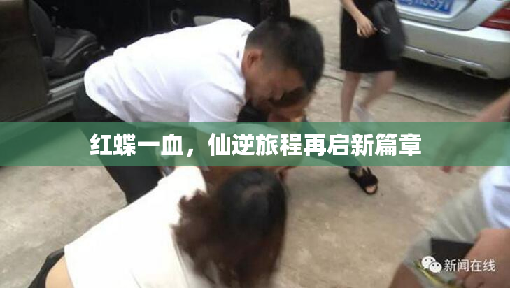 红蝶一血，仙逆旅程再启新篇章