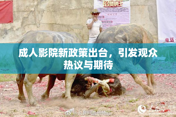 成人影院新政策出台，引发观众热议与期待
