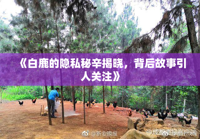《白鹿的隐私秘辛揭晓，背后故事引人关注》