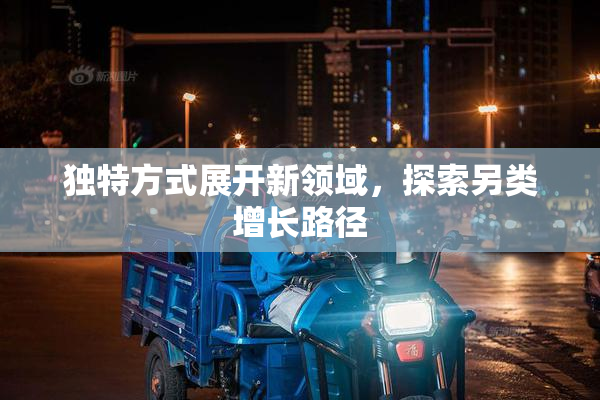 独特方式展开新领域，探索另类增长路径