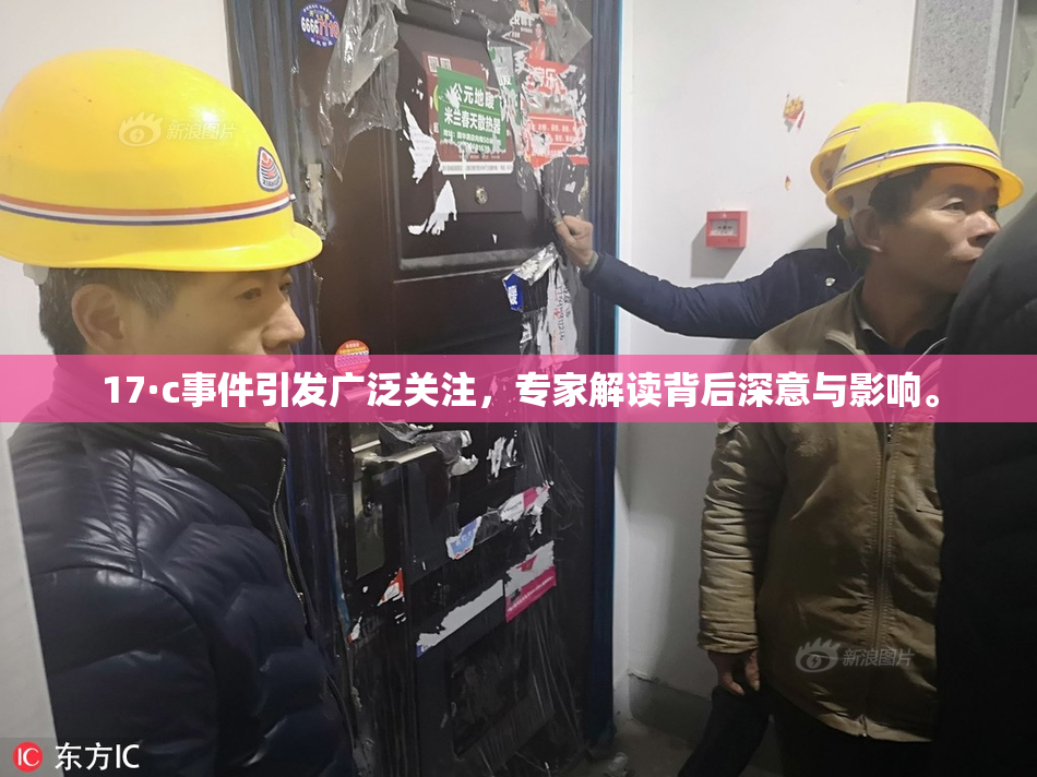 17·c事件引发广泛关注，专家解读背后深意与影响。