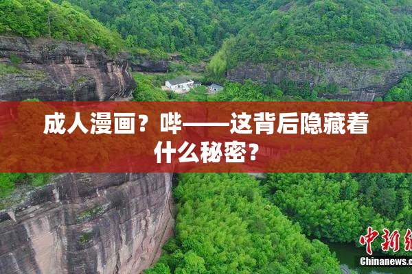 成人漫画？哔——这背后隐藏着什么秘密？