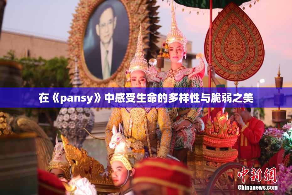 在《pansy》中感受生命的多样性与脆弱之美