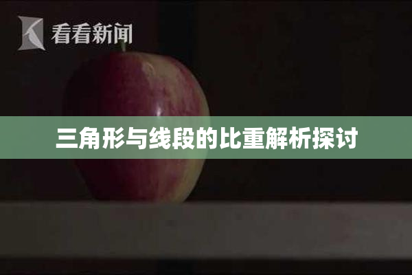 三角形与线段的比重解析探讨