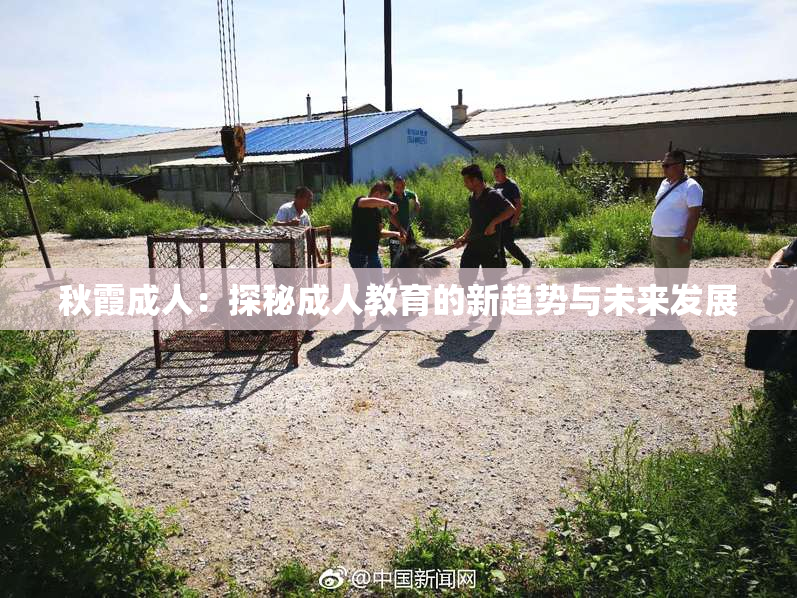 秋霞成人：探秘成人教育的新趋势与未来发展