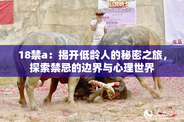 18禁a：揭开低龄人的秘密之旅，探索禁忌的边界与心理世界