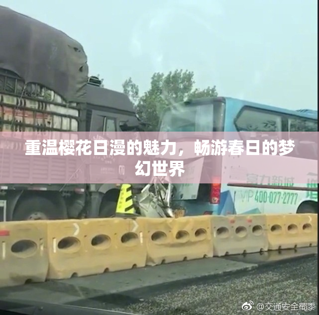 重温樱花日漫的魅力，畅游春日的梦幻世界