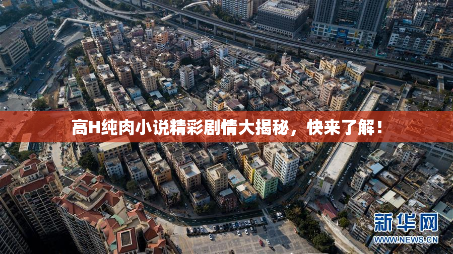 高H纯肉小说精彩剧情大揭秘，快来了解！