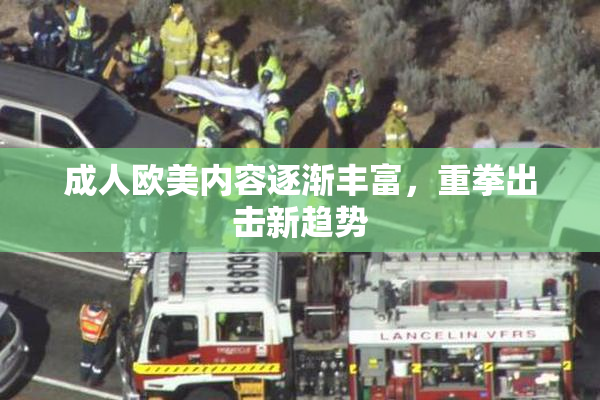成人欧美内容逐渐丰富，重拳出击新趋势