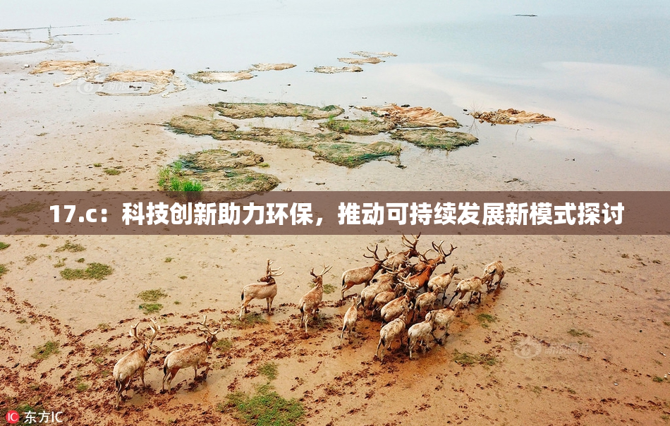 17.c：科技创新助力环保，推动可持续发展新模式探讨