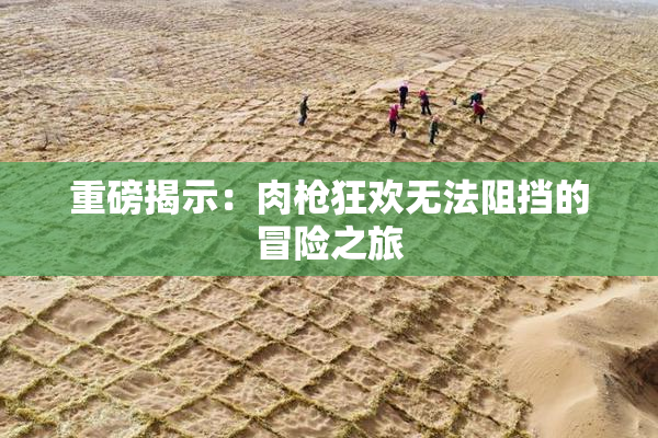 重磅揭示：肉枪狂欢无法阻挡的冒险之旅