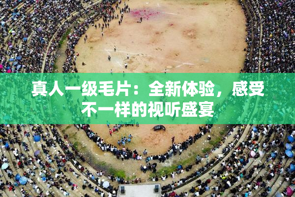 真人一级毛片：全新体验，感受不一样的视听盛宴