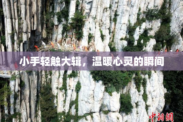 小手轻触大辑，温暖心灵的瞬间