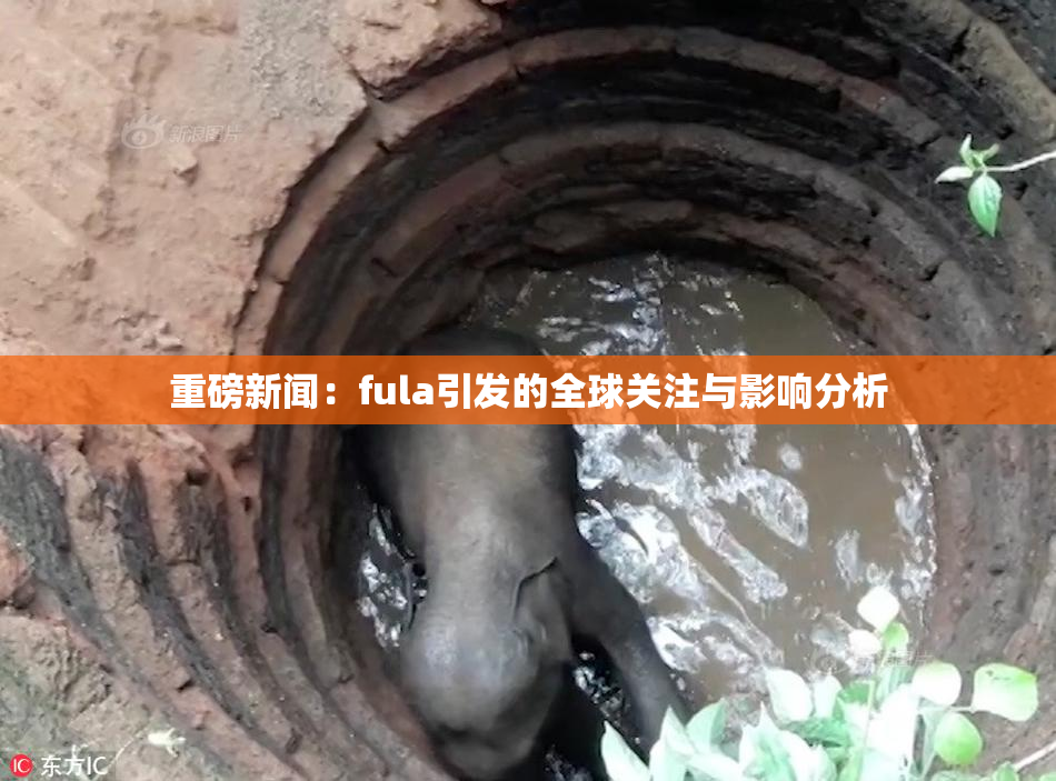 重磅新闻：fula引发的全球关注与影响分析