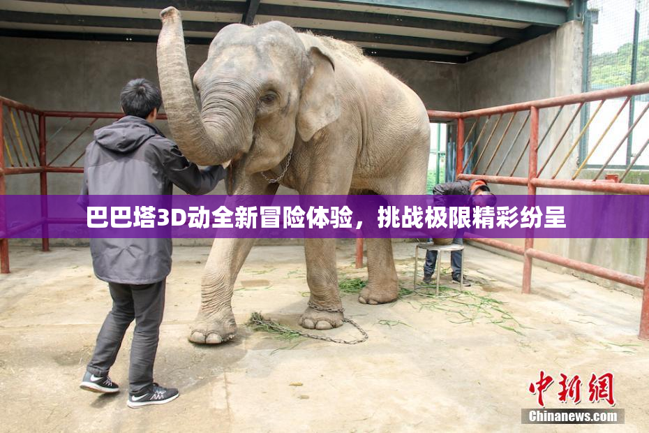 巴巴塔3D动全新冒险体验，挑战极限精彩纷呈