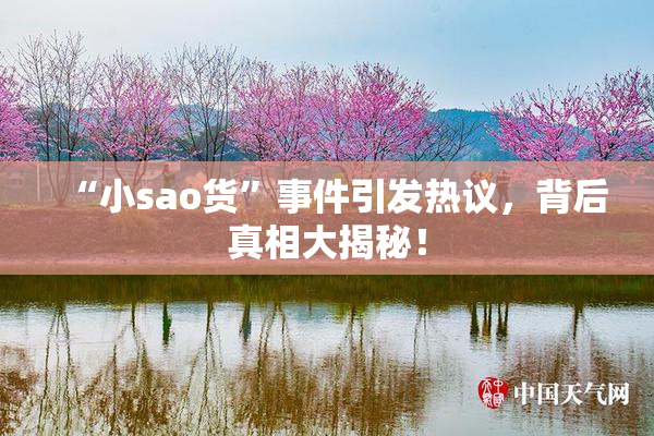 “小sao货”事件引发热议，背后真相大揭秘！
