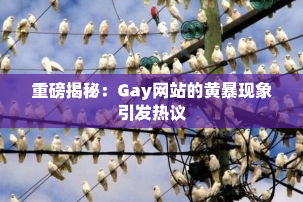 重磅揭秘：Gay网站的黄暴现象引发热议