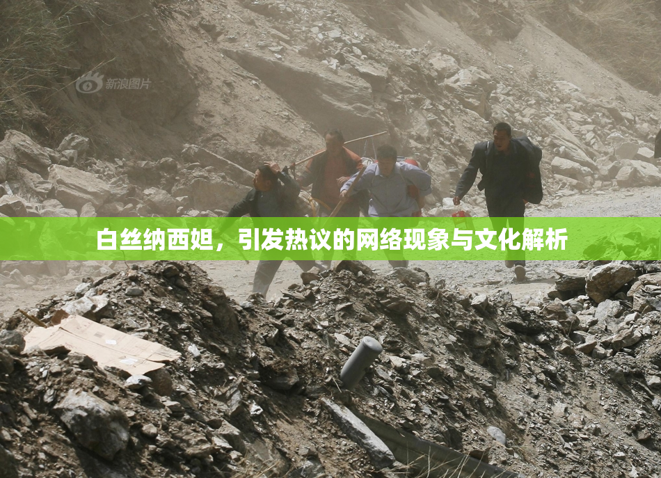 白丝纳西妲，引发热议的网络现象与文化解析