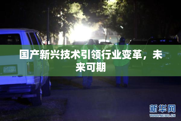 国产新兴技术引领行业变革，未来可期