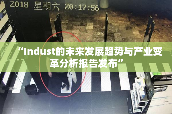 “Indust的未来发展趋势与产业变革分析报告发布”