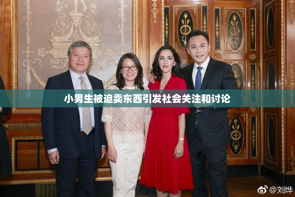 小男生被迫卖东西引发社会关注和讨论