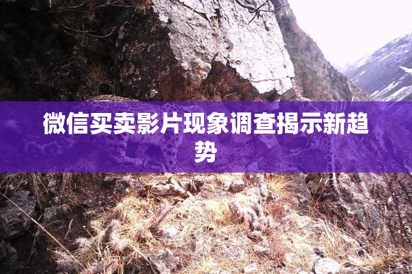 微信买卖影片现象调查揭示新趋势