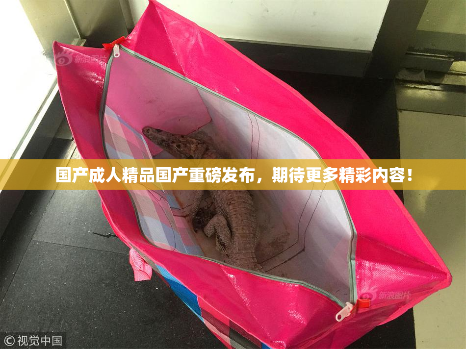 国产成人精品国产重磅发布，期待更多精彩内容！