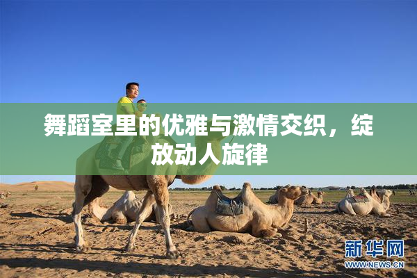舞蹈室里的优雅与激情交织，绽放动人旋律