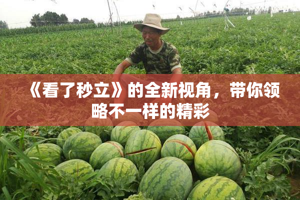 《看了秒立》的全新视角，带你领略不一样的精彩