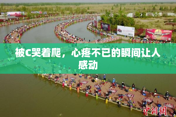 被C哭着爬，心疼不已的瞬间让人感动