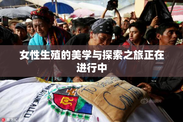 女性生殖的美学与探索之旅正在进行中