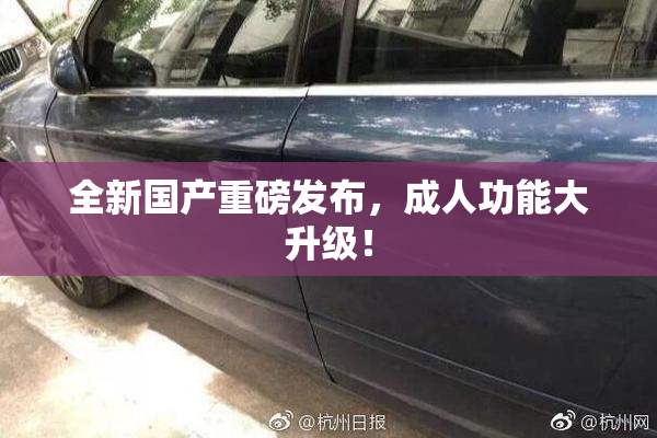 全新国产重磅发布，成人功能大升级！