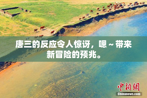 唐三的反应令人惊讶，嗯～带来新冒险的预兆。