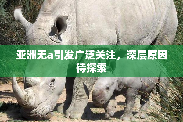 亚洲无a引发广泛关注，深层原因待探索