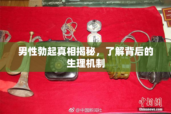 男性勃起真相揭秘，了解背后的生理机制