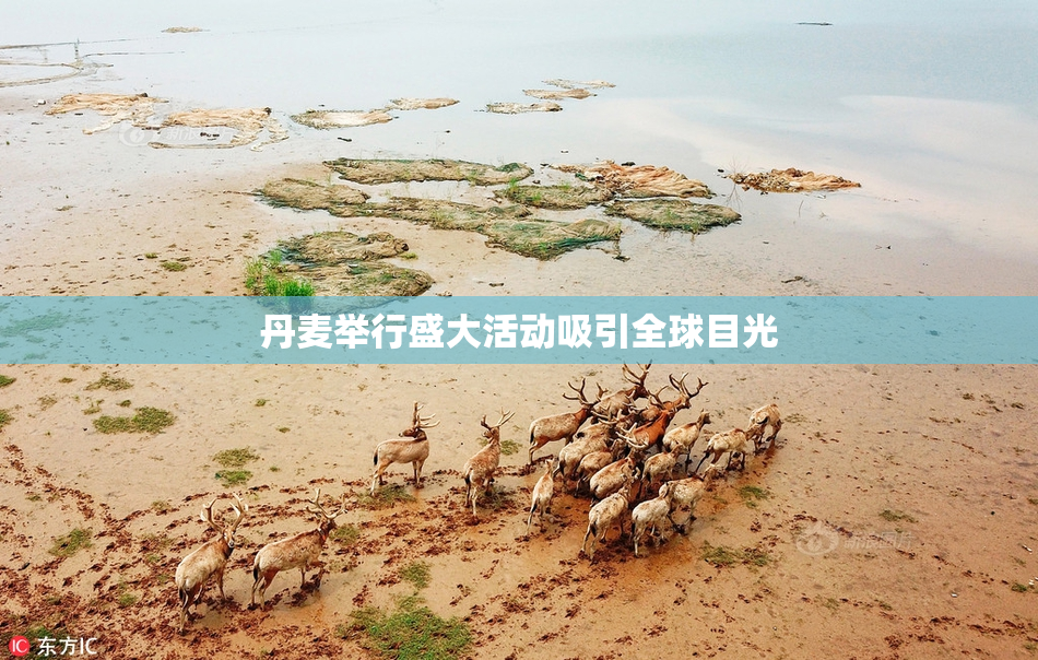 丹麦举行盛大活动吸引全球目光