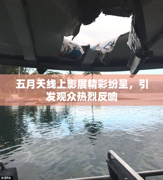 五月天线上影展精彩纷呈，引发观众热烈反响