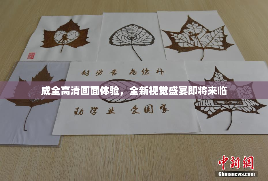 成全高清画面体验，全新视觉盛宴即将来临