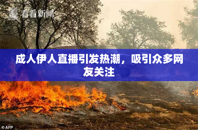 成人伊人直播引发热潮，吸引众多网友关注