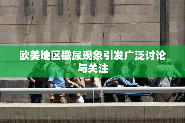 欧美地区撒尿现象引发广泛讨论与关注
