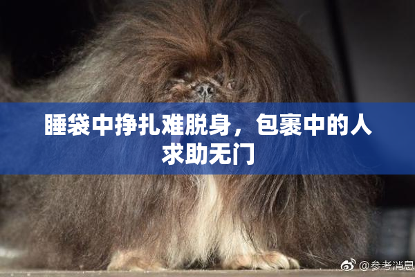 睡袋中挣扎难脱身，包裹中的人求助无门
