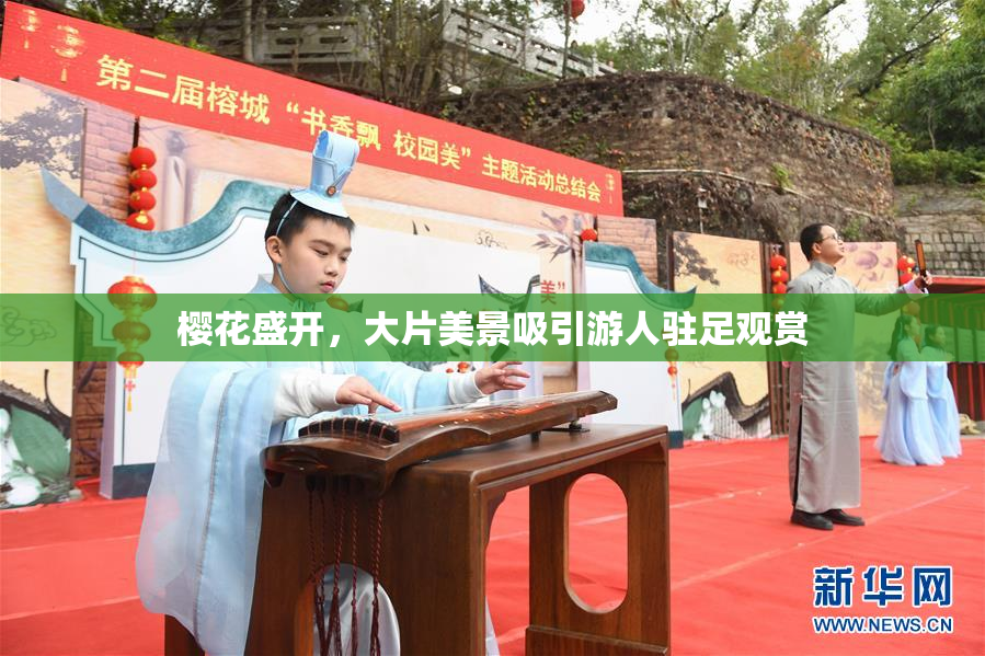 樱花盛开，大片美景吸引游人驻足观赏