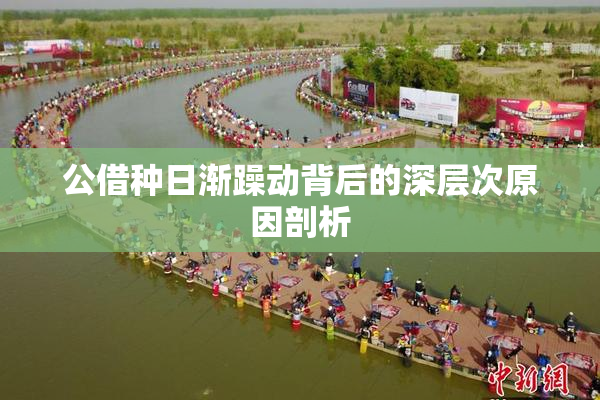 公借种日渐躁动背后的深层次原因剖析