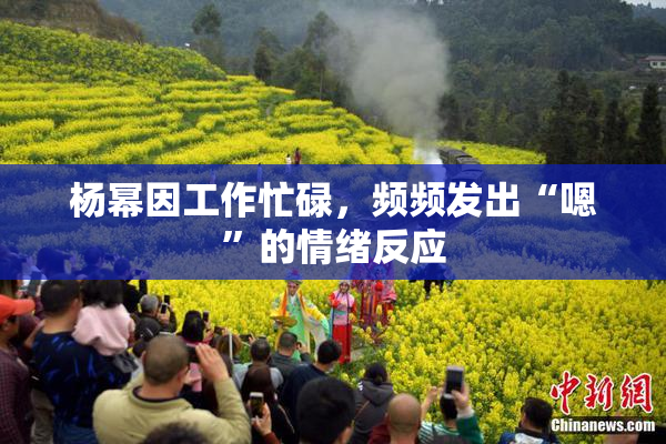 杨幂因工作忙碌，频频发出“嗯”的情绪反应