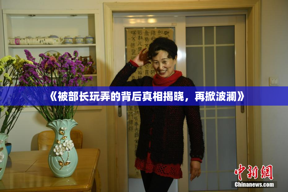 《被部长玩弄的背后真相揭晓，再掀波澜》