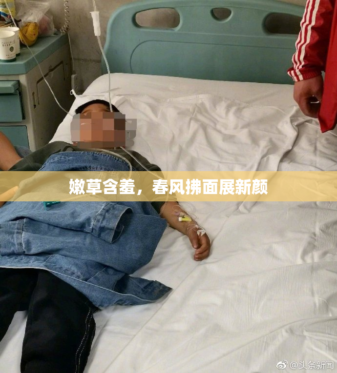 嫩草含羞，春风拂面展新颜